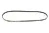 PASEK WIELOROWKOWY 3PK823 MITSUBISHI OUTLANDER III (POMPY WODY) 3PK823SF
