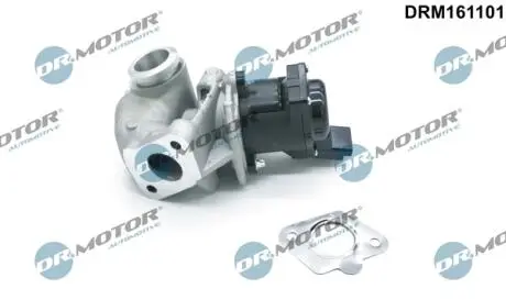 DRM161101 ZAWÓR EGR Z USZCZELKĽ PSA,FORD,FIAT,VOLVO,SUZUKI DR.MOTOR підбір по vin на Brocar
