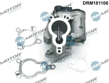 DRM181106 КЛАПАН EGR З ПРОКЛАДКОЮ RENAULT, NISSAN, OPEL DR.MOTOR підбір по vin на Brocar
