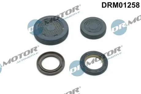 DRM01258 ZESTAW USZCZELEK WAŁKA ROZRZĽDU RENAULT DR.MOTOR подбор по vin на Brocar
