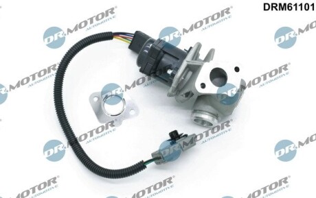 DRM61101 Клапан EGR з ущільненнями FORD, VOLVO DR.MOTOR підбір по vin на Brocar