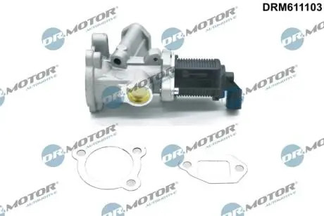 DRM611103 Клапан рециркуляції газів DR.MOTOR підбір по vin на Brocar