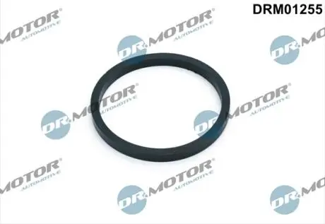 DRM01255 USZCZELKA CHŁODNICY OLEJU VAG DR.MOTOR підбір по vin на Brocar