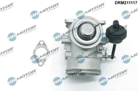 DRM211117 Клапан рециркуляції газів DR.MOTOR підбір по vin на Brocar