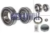 Комплект подшипников задний Citroen Jumper 94-; Fiat Ducato 10/14 94- 1.8t 4096