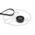 ZESTAW PASKA PK LADA LARGUS 1.6 16- K016PK883