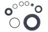 Р-кт супорта зад. OPEL Astra Ø34 mm(Bosch) 98- B200030