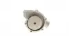 0819054 Помпа воды BMW 5 (E12/E28/E34)/6 (E24)/7 (E23/E32) 2.5-3.6 77-95 TRUCKTEC підбір по vin на Brocar