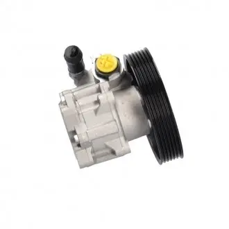 FI017 Насос кермового мех-му (з шківом Ø125mm 6pk) Citroen Jumpy Fiat Scudo, Ulysse 1.9D/2.0 02.95-12.06 MSG підбір по vin на Brocar
