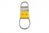 Ремень генератора Ford Focus IV/Galaxy III/Mondeo V/Transit 2.0D/2.0DH 15- 3PK725 ELAST