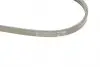 3PK725ELAST Ремень генератора Ford Focus IV/Galaxy III/Mondeo V/Transit 2.0D/2.0DH 15- CONTITECH підбір по vin на Brocar