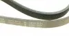 FB6XPK1080 Ремінь генератора VW Crafter 2.0TDI 11-16/Golf 1.4/1.6 97-05/Audi A1/A2/A4 1.4-2.0 01-18 INA підбір по vin на Brocar