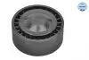 Ролик генератора Audi A4/A6/A8 2.0/2.7/3.0 TDI/VW Touareg 3.0 TDI 04- (паразитний) (65х26) 100 009 0016