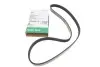 PASEK WIELOROWK. 5PK1015 FB5PK1015