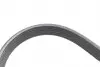 529032310 Комплект ремня генератора Citroen C3/C4/Peugeot 2008/208 1.4/1.6D 09- (6PK1020) INA підбір по vin на Brocar