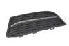 6502070067919P Решетка бампера Передн Лив (закрытая, M-packet, чорн) BMW 5 12.09-06.13 BLIC підбір по vin на Brocar