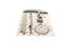 70010SET Комплект цепи ГРМ Renault Master 2.3DCi 10- (цепь, натяжитель, шестерня) AIC підбір по vin на Brocar