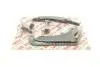 59129SET Комплект ланцюга ГРМ BMW 5 (F10)/7 (F01/F02/F03/F04)/X5 (E70/F15/F85)/X6 (E71/E72) 08-14 (N63) AIC підбір по vin на Brocar