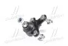 RD993526772 Опора шаровая SKODA OCTAVIA 04-13, VW CADDY 04-передн. лев. (RIDER) RIDER підбір по vin на Brocar