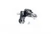 RD993538113 Опора шаровая TOYOTA CAMRY V40 06-передн. прав. (RIDER) RIDER підбір по vin на Brocar