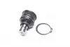 Опора шаровая NISSAN TIIDA 07-, JUKE 10- (RIDER) RD.545001KA0A