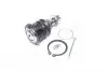 RD4806809080 Опора шаровая TOYOTA YARIS 99- (RIDER) RIDER підбір по vin на Brocar