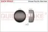 9821K 9821K QUICK BRAKE Пылезащитные колпачки для ступицы QUICK BRAKE підбір по vin на Brocar