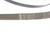 529010510 Комплект ременя генератора Citroen Jumpy/Fiat Scudo/Peugeot Expert 2.0HDi 04- (6PK1218) INA підбір по vin на Brocar