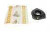 Подушка амортизатора (переднего) Renault Megane II/Scenic II 04- 45RN5540