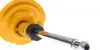 22247568 Амортизатор (передний) Renault SCÉNIC II 06/03-, B6 Performance BILSTEIN підбір по vin на Brocar