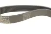 9071113 Ремінь генератора Renault Master/Trafic/Opel Movano/Vivaro 2.5CDTI/dCi 06- (7PK1113) AUTOTECHTEILE підбір по vin на Brocar