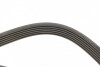 9061352 Ремень генератора Peugeot Bipper/Expert/Partner 1.4/1.6HDI 07-/Ford Focus/Mondeo 2.0 18- (6PK1352) AUTOTECHTEILE підбір по vin на Brocar