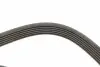 9061352 Ремінь генератора Peugeot Bipper/Expert/Partner 1.4/1.6HDI 07-/Ford Focus/Mondeo 2.0 18- (6PK1352) AUTOTECHTEILE підбір по vin на Brocar