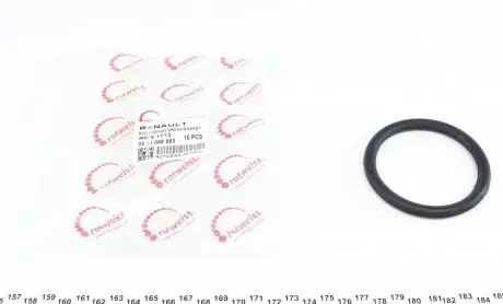 RWS1773 Прокладка колектора впускного Renault Kangoo/Laguna II/Trafic 1.4-2.0 01- ROTWEISS підбір по vin на Brocar