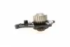 5080115 Помпа воды Citroen Nemo/Peugeot Bipper 1.4HDI 08- AUTOTECHTEILE підбір по vin на Brocar