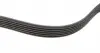 529046810 Комплект ременя генератора VW Caddy III 1.9 TDI/2.0 SDI 04-10 (6PK 1050) INA підбір по vin на Brocar