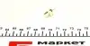 R508TLED Автолампа 24V 1.2W B8.5d LED Grey (в щиток приборов) Ring підбір по vin на Brocar