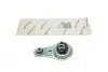 Подушка двигателя (задняя/нижняя) Renault Master/Opel Movano 10- (FWD) (косточка) 3-88-18-90392