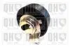 Ролик натяжителя ремня ГРМ Ford 1.6-2.0 ZETEC QTT181