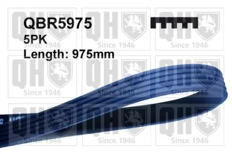 QBR5975 Ремінь поликлиновидный 5X975 QUINTON HAZELL підбір по vin на Brocar