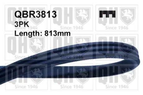 QBR3813 Ремень поликлиновидный 3X813 QUINTON HAZELL підбір по vin на Brocar
