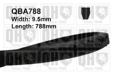 QBA788 Ремінь клиновидний 10х788 QUINTON HAZELL підбір по vin на Brocar