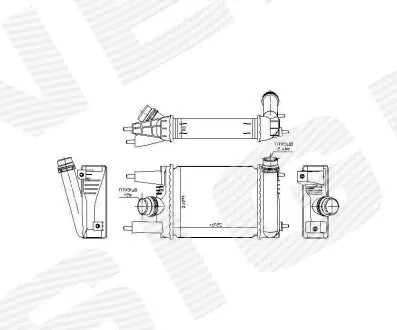 RI96153 Інтеркулер SIGNEDA підбір по vin на Brocar