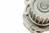 1987946391 Комплект ГРМ + помпа Audi A3/A4/Skoda Octavia/WV Caddy III/Golf IV/V/Passat/Touran 1.6 95- (23x138z) BOSCH підбір по vin на Brocar