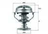 TX16482D Termostat FORD BEHR підбір по vin на Brocar