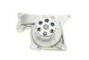 1987946395 Комплект ГРМ + помпа Renault Clio/Kangoo/Megane/Scenic/Dacia Dokker/Duster/Logan 1.5dCi 08-(27x119z) BOSCH підбір по vin на Brocar