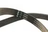 529051320 Комплект ремня генератора Skoda Octavia/VW Golf IV 1.9 TDI 96-10 (6PK905) INA підбір по vin на Brocar
