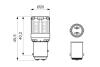 1987301521 Автолампа светодиодная (P21/5W 12V 2,5W LED 4000K WARM) BOSCH підбір по vin на Brocar