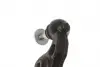301181380600 Важіль підвіски MAGNETI MARELLI 301181380600 MAGNETI MARELLI підбір по vin на Brocar