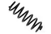 Пружина (задня) VW Passat (3C2/3C5) 1.4-2.0/1.9-2.0TDI 05-11 (седан/універсал) (посилена)) 36-312382